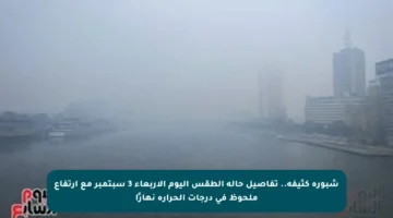 شبورة كثيفة.. تفاصيل حالة الطقس اليوم الأربعاء 3 سبتمبر مع ارتفاع ملحوظ في درجات الحرارة نهارًا